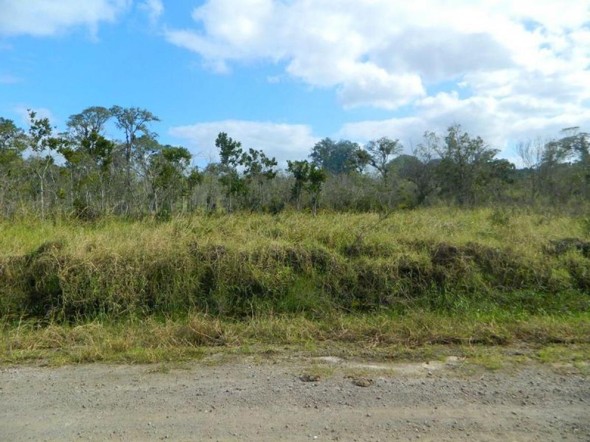 Picture of Residential Land For Sale in Peruibe, Sao Paulo, Brazil