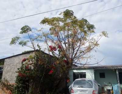 Home For Sale in Tapes, Brazil