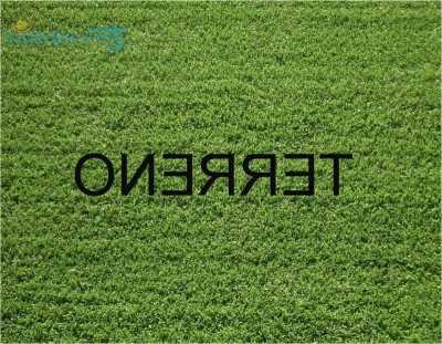 Residential Land For Sale in Peruibe, Brazil