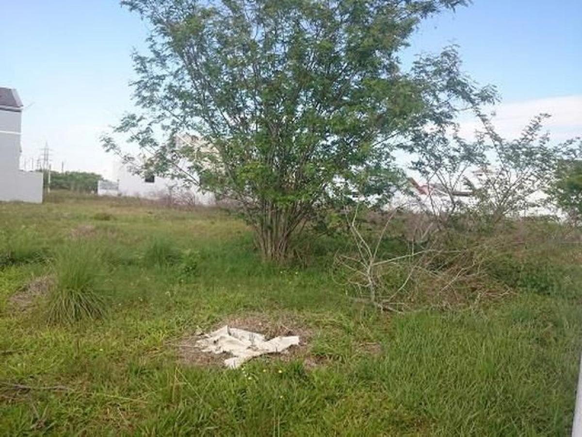 Picture of Residential Land For Sale in Cachoeirinha, Pernambuco, Brazil