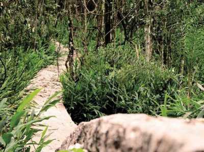 Residential Land For Sale in