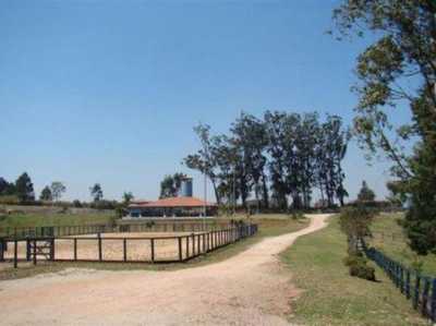 Residential Land For Sale in Alagoas, Brazil