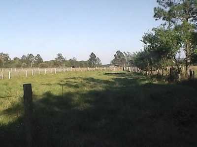 Residential Land For Sale in Santa Catarina, Brazil