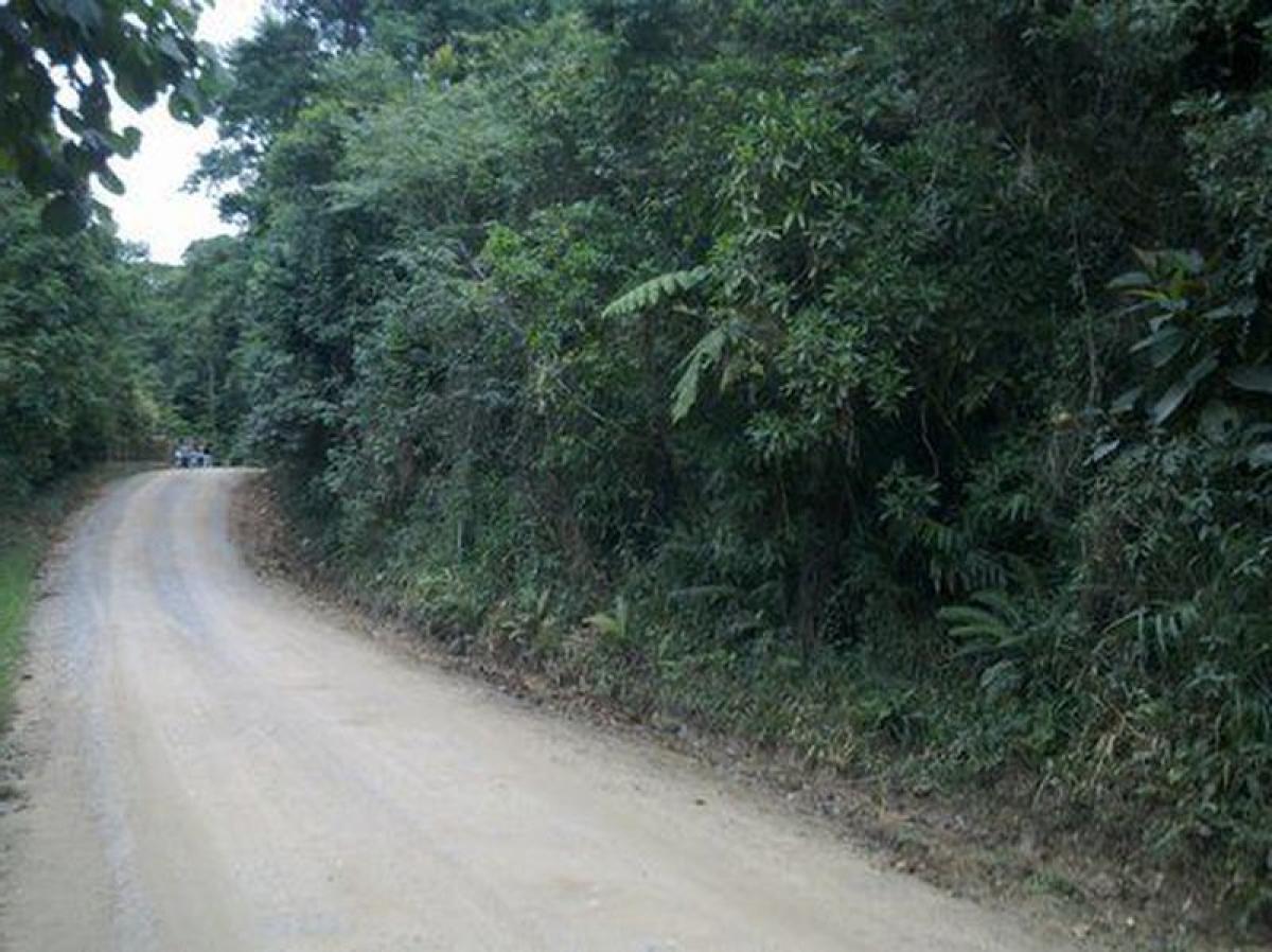 Picture of Residential Land For Sale in Santo Amaro Da Imperatriz, Santa Catarina, Brazil