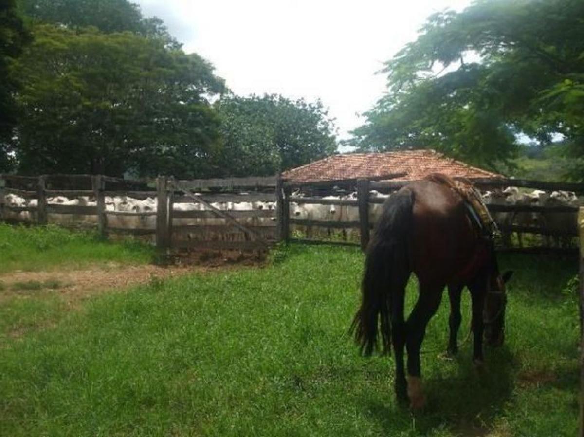 Picture of Farm For Sale in Goias, Goias, Brazil