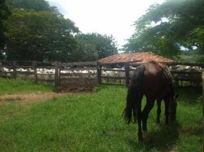 Farm For Sale in Goias, Brazil