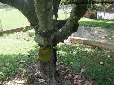 Home For Sale in Itu, Brazil