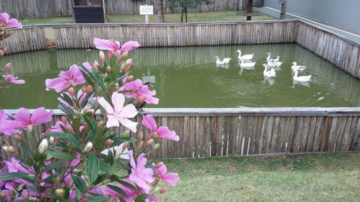 Picture of Farm For Sale in Bandeira Do Sul, Minas Gerais, Brazil