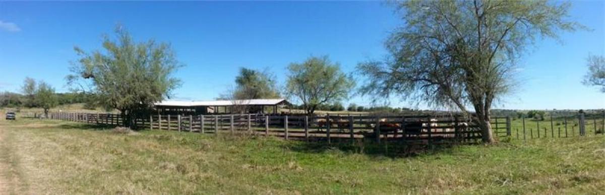 Picture of Farm For Sale in Rio Grande Do Sul, Rio Grande do Sul, Brazil