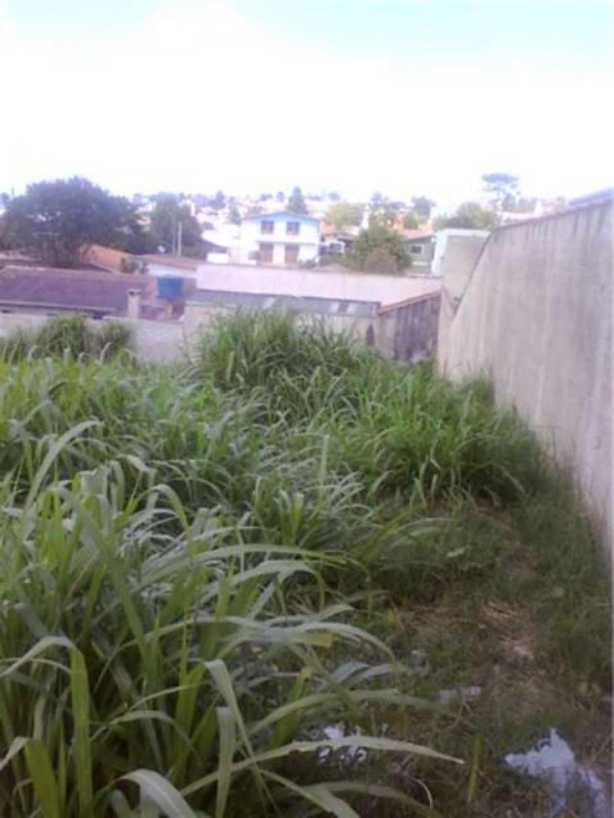 Picture of Residential Land For Sale in Colombo, Parana, Brazil