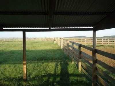 Farm For Sale in Rio Grande Do Sul, Brazil