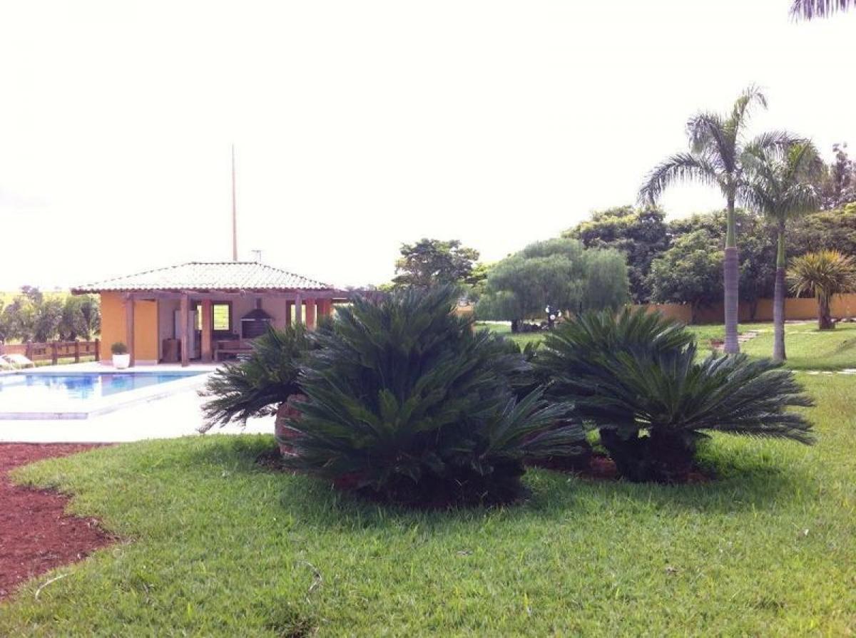 Picture of Farm For Sale in Goias, Goias, Brazil