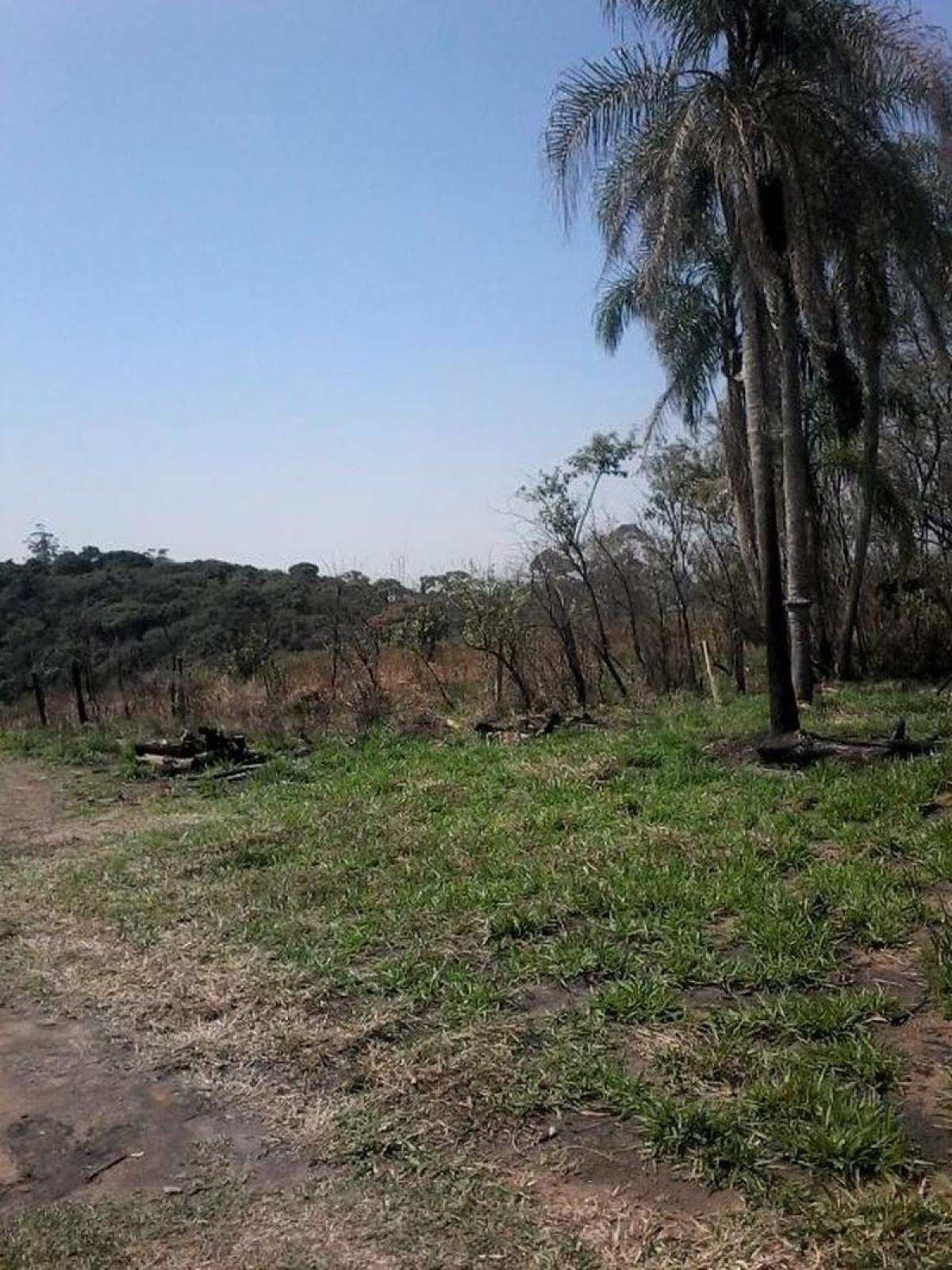 Picture of Residential Land For Sale in Itapecerica Da Serra, Sao Paulo, Brazil