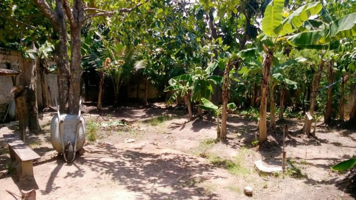 Picture of Farm For Sale in Lauro De Freitas, Bahia, Brazil