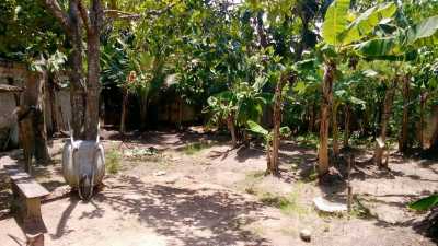 Farm For Sale in 