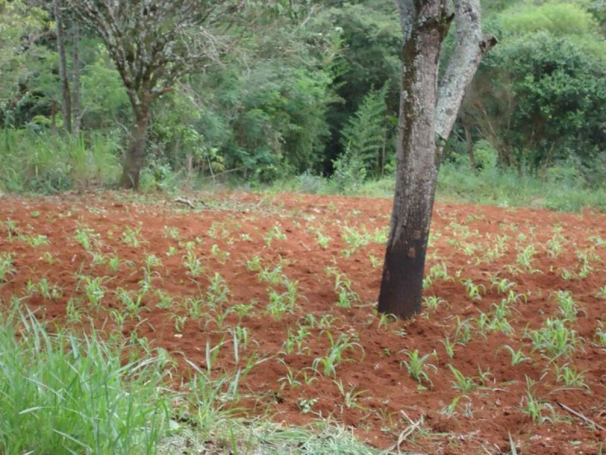 Picture of Residential Land For Sale in Três Marias, Minas Gerais, Brazil