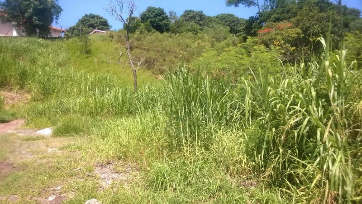 Picture of Residential Land For Sale in Louveira, Sao Paulo, Brazil