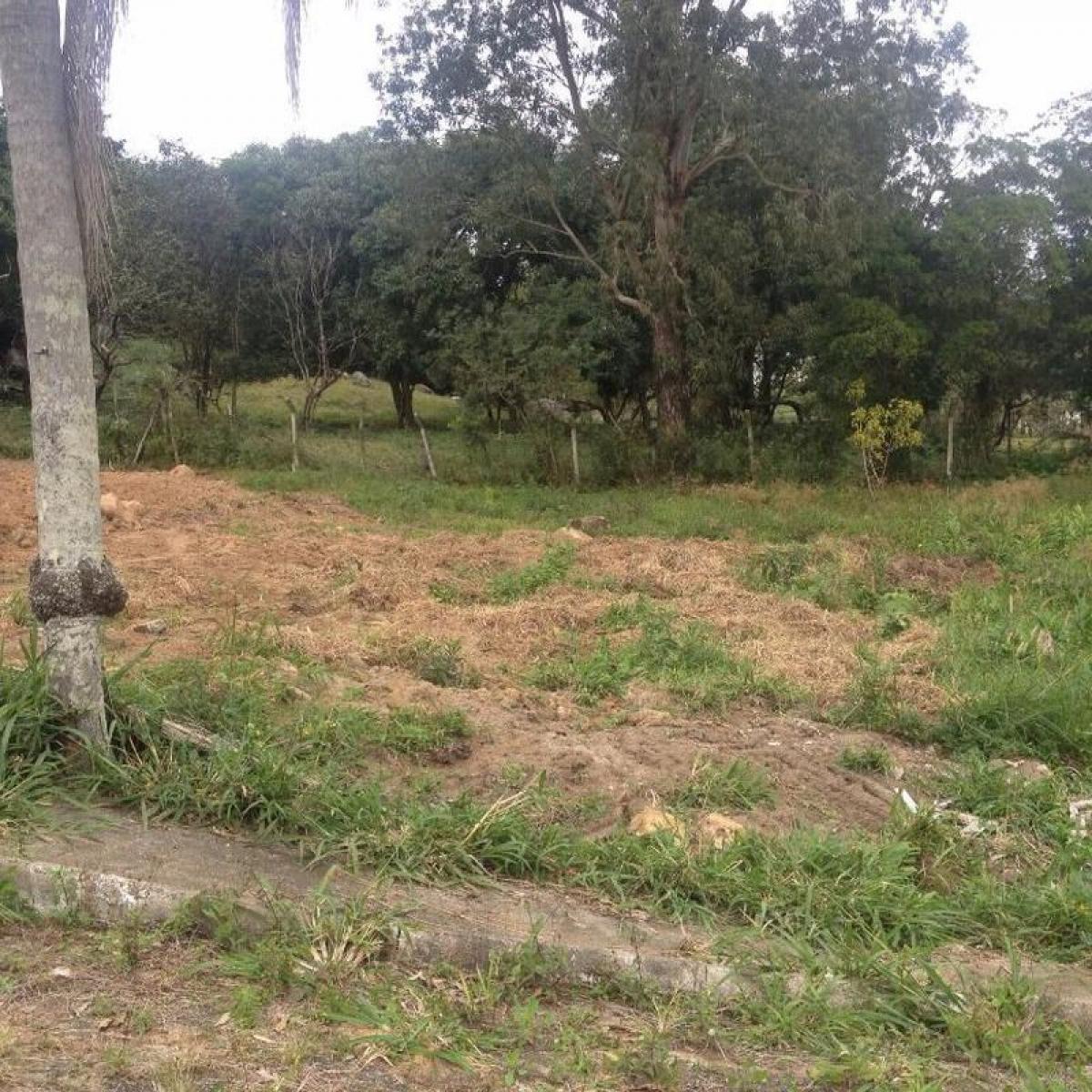 Picture of Residential Land For Sale in Florianopolis, Santa Catarina, Brazil