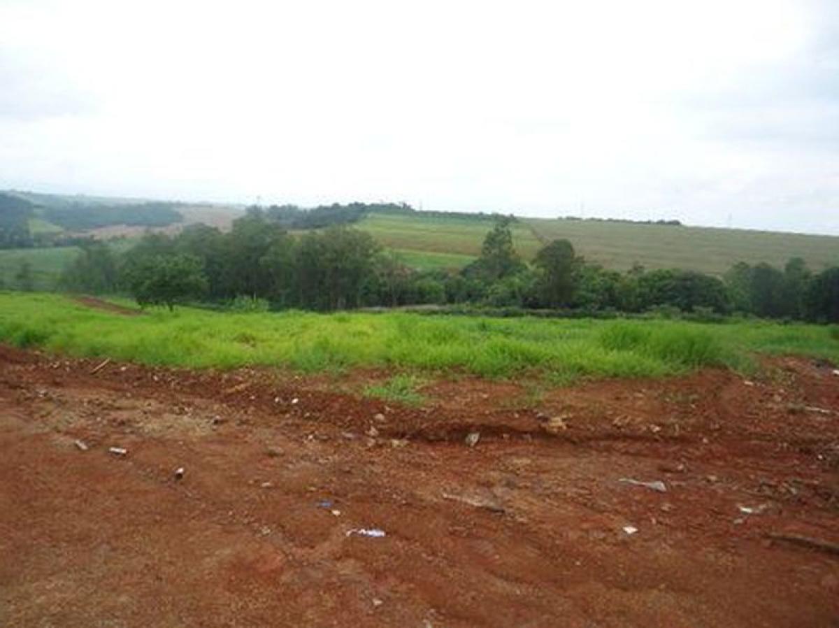 Picture of Residential Land For Sale in Quatro Barras, Parana, Brazil