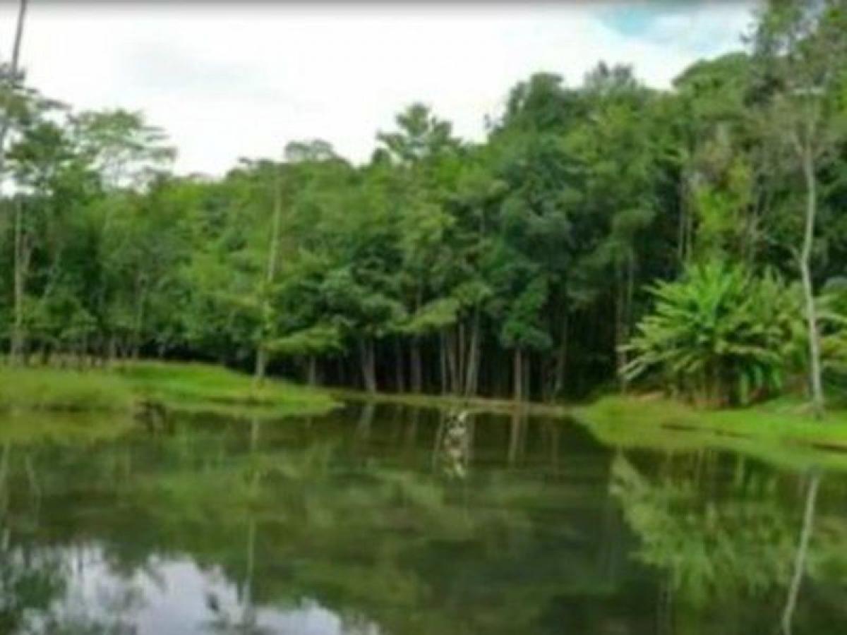 Picture of Residential Land For Sale in Alagoas, Alagoas, Brazil