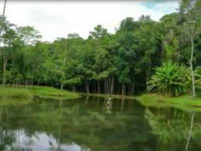 Residential Land For Sale in Alagoas, Brazil