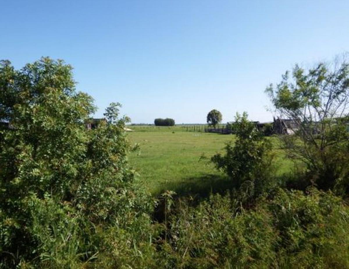 Picture of Residential Land For Sale in Rio Grande Do Sul, Rio Grande do Sul, Brazil