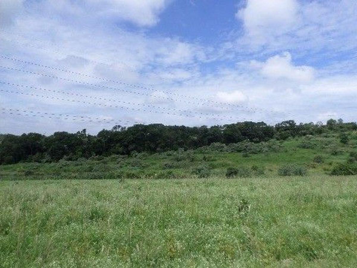 Picture of Farm For Sale in Sao Paulo, Sao Paulo, Brazil