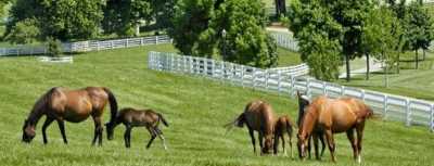 Residential Land For Sale in Goias, Brazil