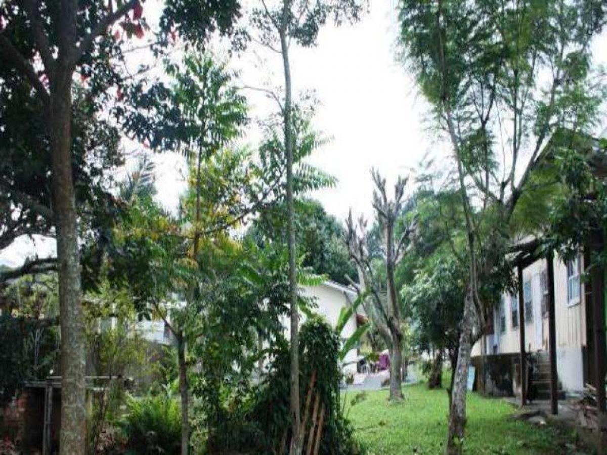 Picture of Residential Land For Sale in Camboriu, Santa Catarina, Brazil