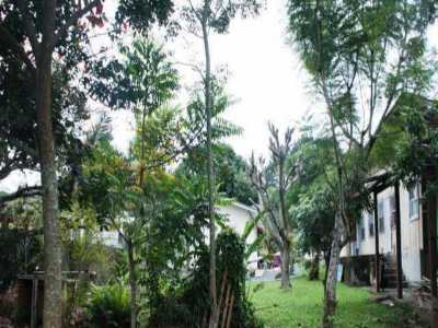 Residential Land For Sale in Camboriu, Brazil