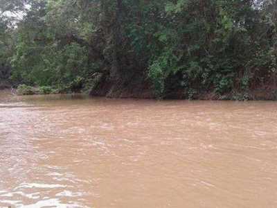 Residential Land For Sale in Abreulândia, Brazil