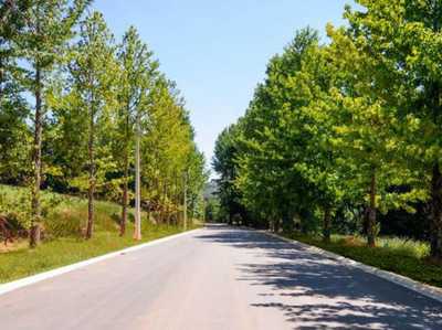 Residential Land For Sale in Alagoas, Brazil