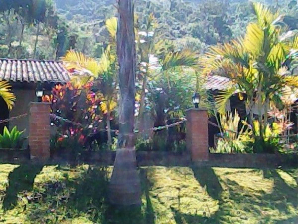 Picture of Farm For Sale in Minas Gerais, Minas Gerais, Brazil