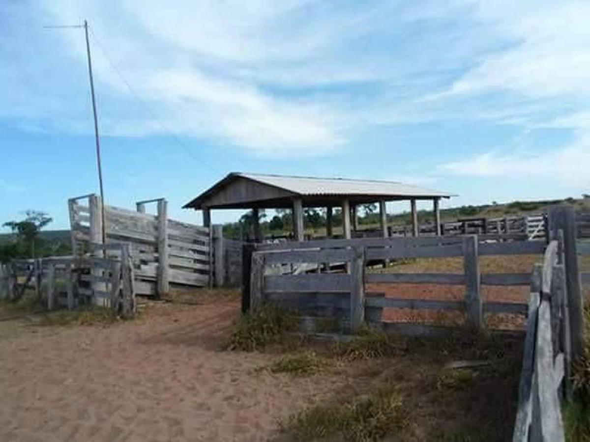 Picture of Farm For Sale in Para, Para, Brazil