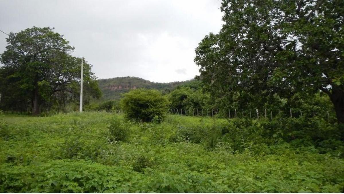 Picture of Farm For Sale in Maranhao, Maranhao, Brazil