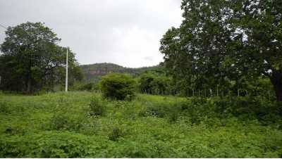 Farm For Sale in Maranhao, Brazil