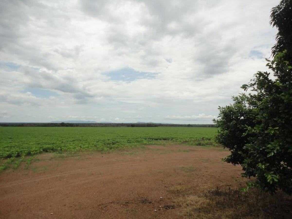 Picture of Farm For Sale in Tocantins, Tocantins, Brazil