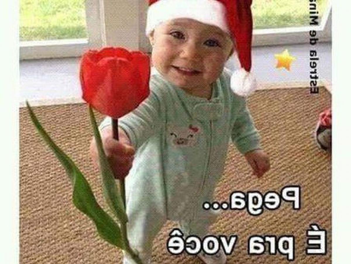 Picture of Residential Land For Sale in Alagoas, Alagoas, Brazil