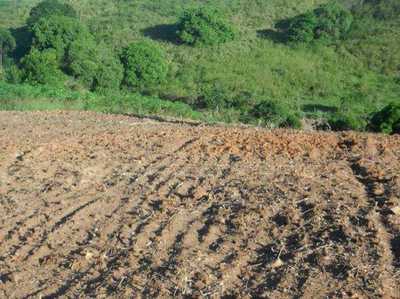 Residential Land For Sale in Tangua, Brazil