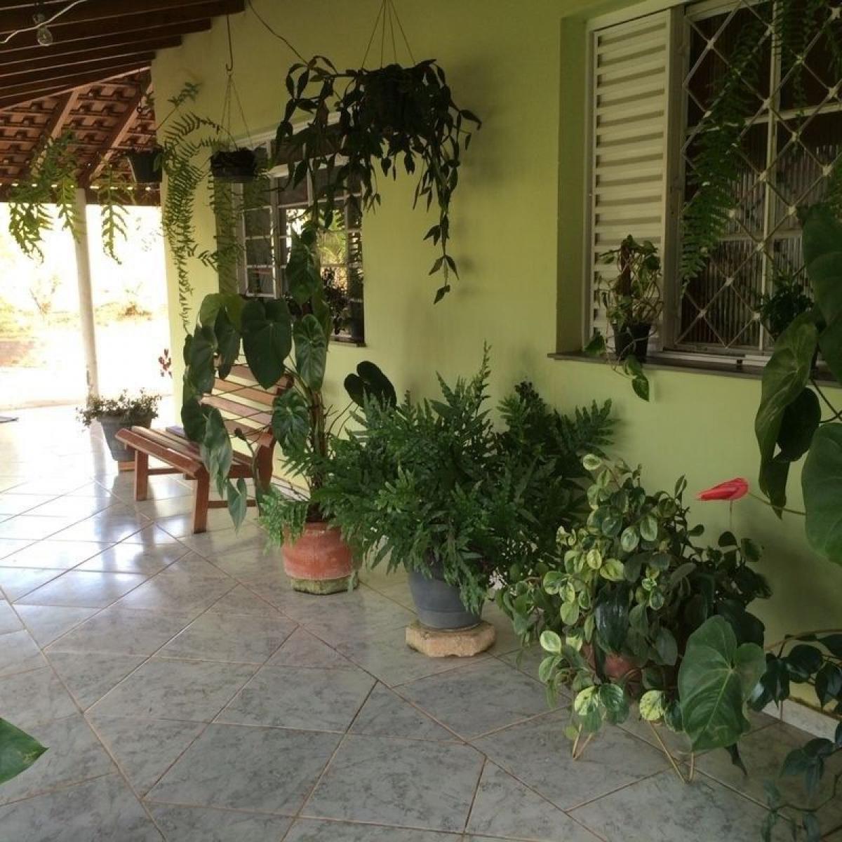 Picture of Farm For Sale in Bandeira Do Sul, Minas Gerais, Brazil