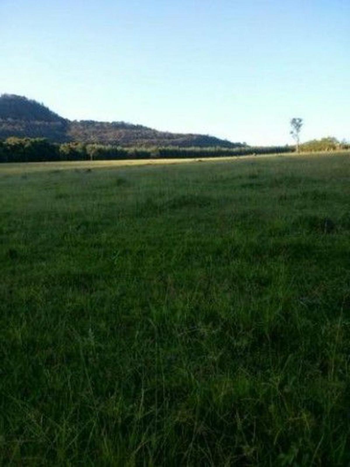 Picture of Farm For Sale in Minas Gerais, Minas Gerais, Brazil