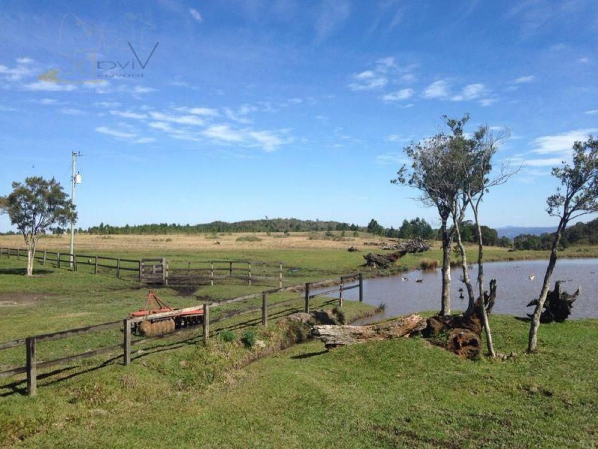 Picture of Farm For Sale in Anitapolis, Santa Catarina, Brazil