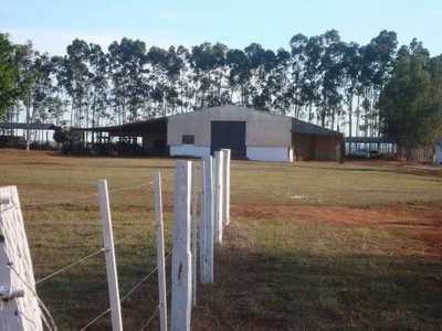 Farm For Sale in Mato Grosso, Brazil