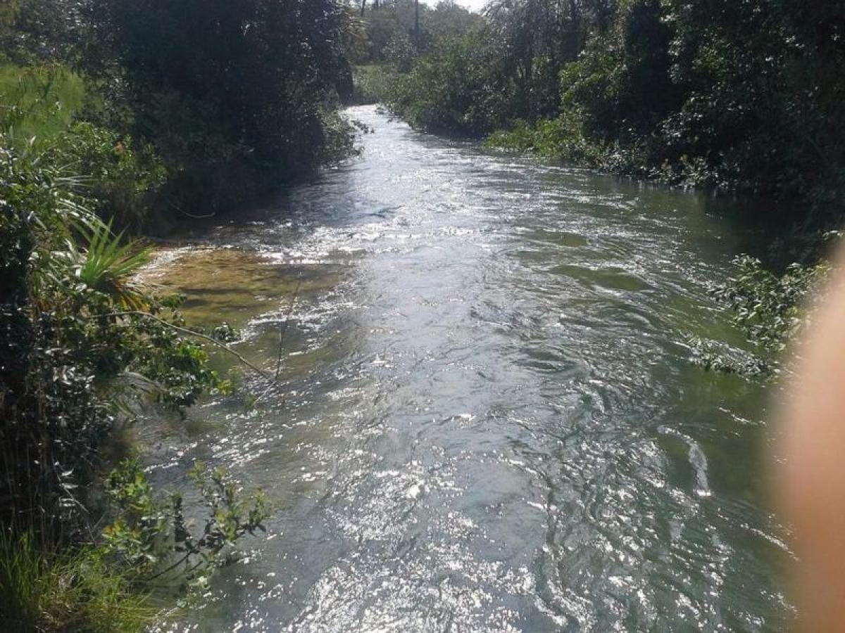 Picture of Farm For Sale in Bahia, Bahia, Brazil