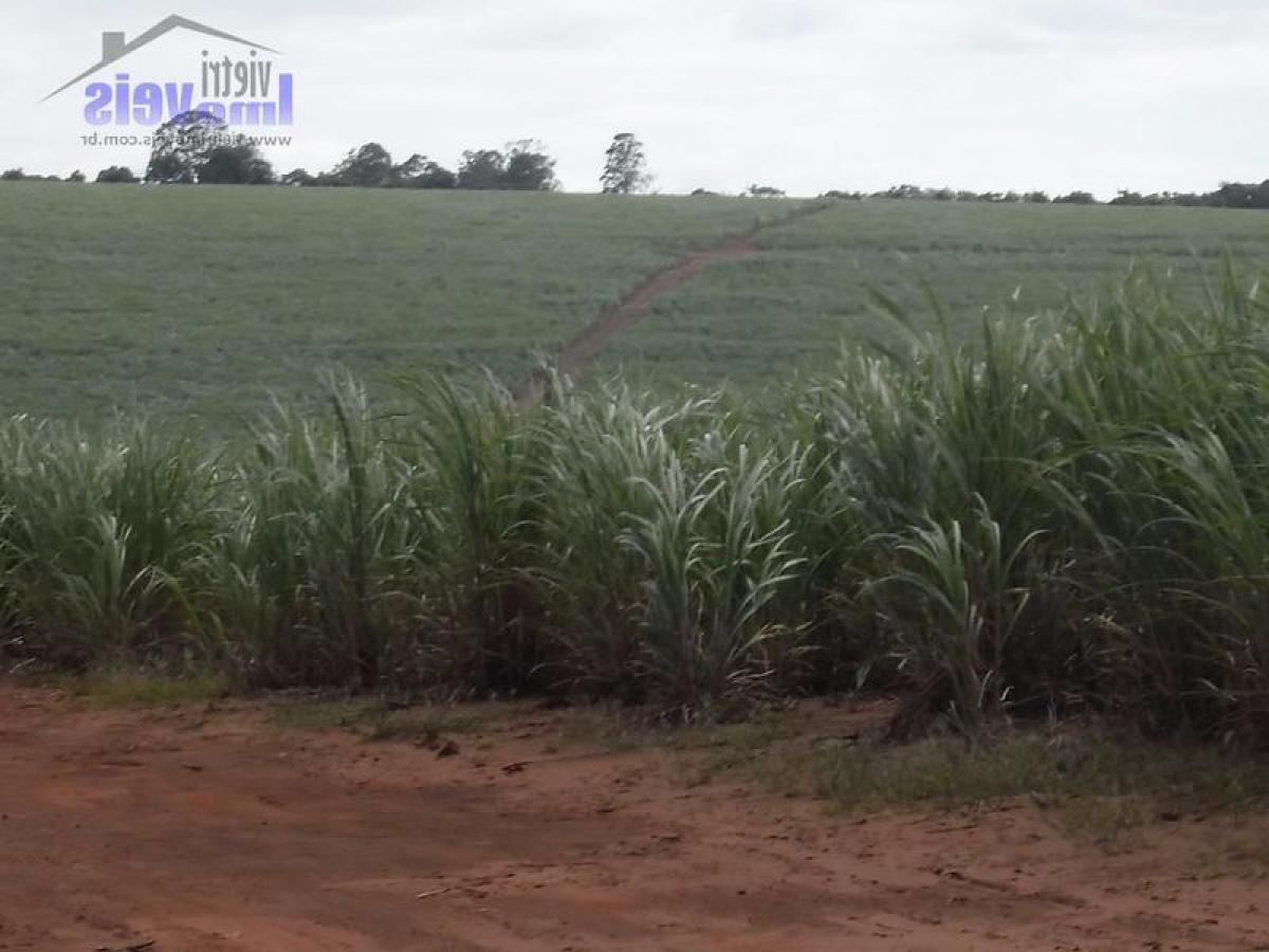 Picture of Farm For Sale in Avare, Sao Paulo, Brazil