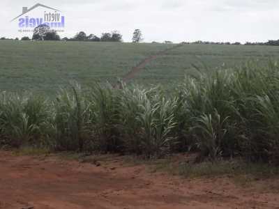 Farm For Sale in Avare, Brazil