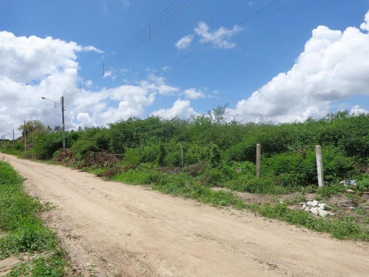 Picture of Residential Land For Sale in Pernambuco, Pernambuco, Brazil