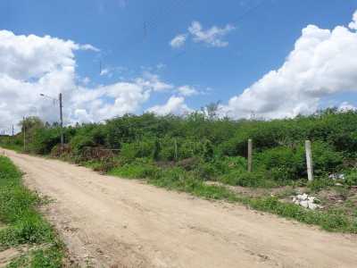 Residential Land For Sale in Pernambuco, Brazil