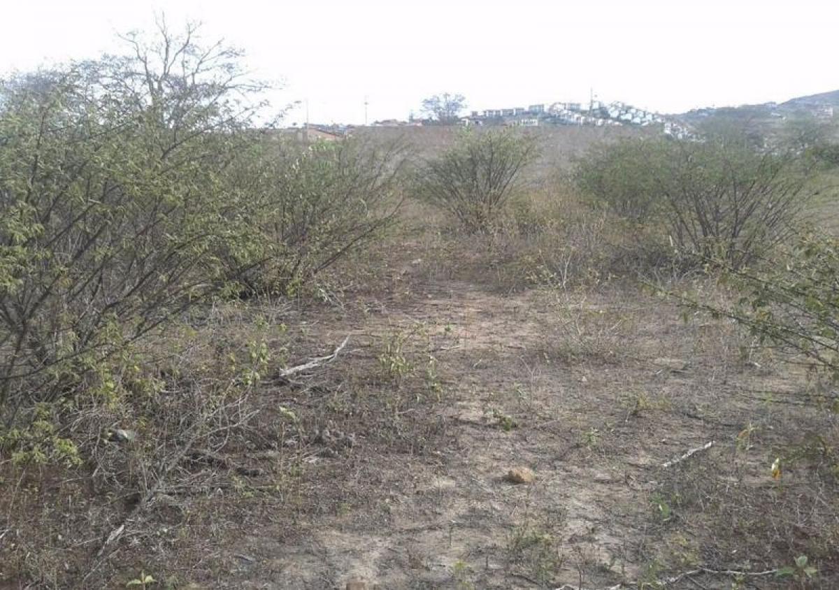 Picture of Residential Land For Sale in Pernambuco, Pernambuco, Brazil