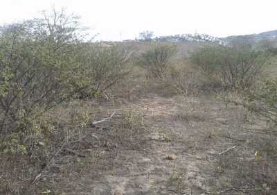 Residential Land For Sale in Pernambuco, Brazil